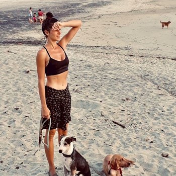 thumbnail petsitter Prague 7 or pet nanny for dogs cats