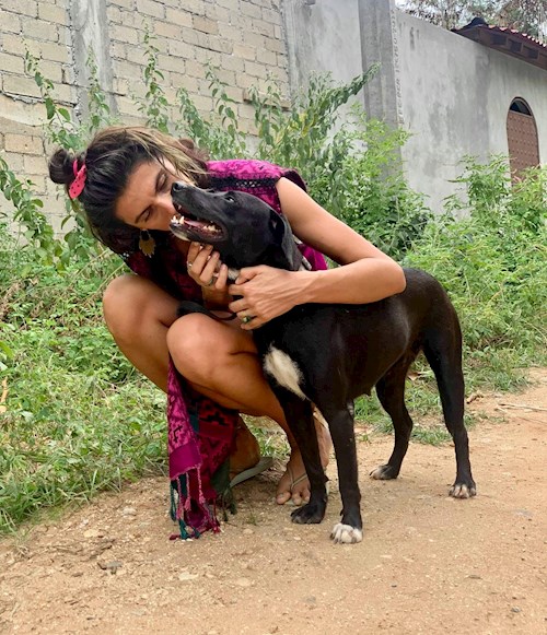 Jana- petsitter Prague 7 or Pet nanny for dogs cats