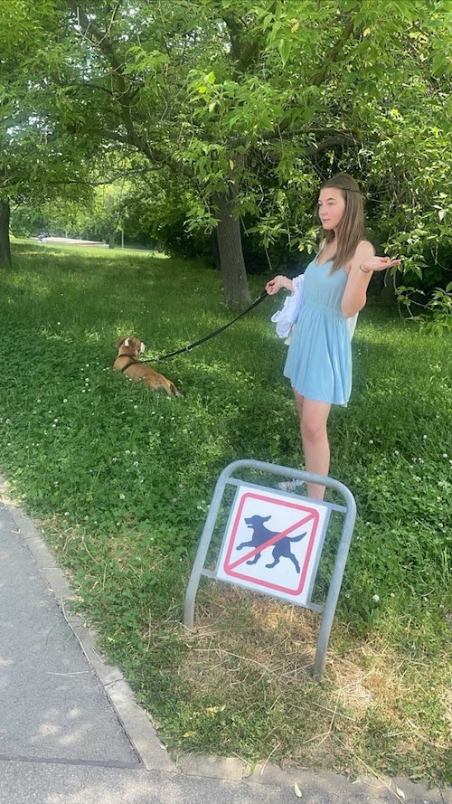 Gabriela- petsitter Ostrava nebo Páníček pro psi