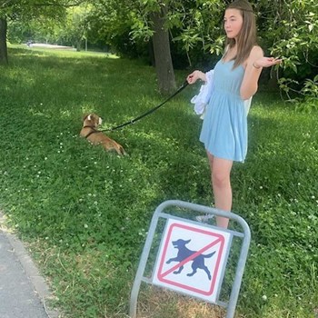 thumbnail petsitter Ostrava nebo páníček pro psi