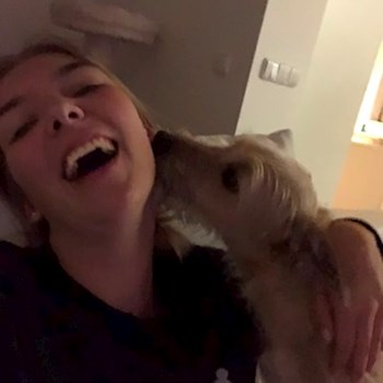 thumbnail petsitter Ostrava nebo páníček pro psi