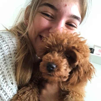 thumbnail petsitter Ostrava nebo páníček pro psi