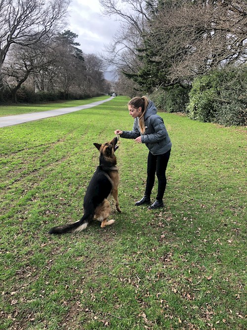 Gabriela- petsitter Ostrava nebo Páníček pro psi
