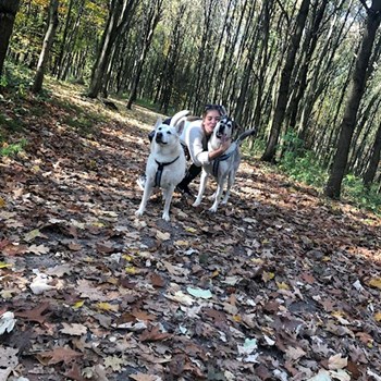 thumbnail petsitter Ostrava nebo páníček pro psi