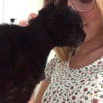 thumbnail petsitter Ostrava nebo páníček pro psi