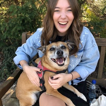 thumbnail petsitter Ostrava nebo páníček pro psi