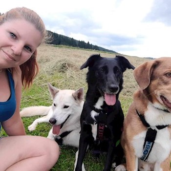 thumbnail petsitter Krompach nebo páníček pro psi kočky