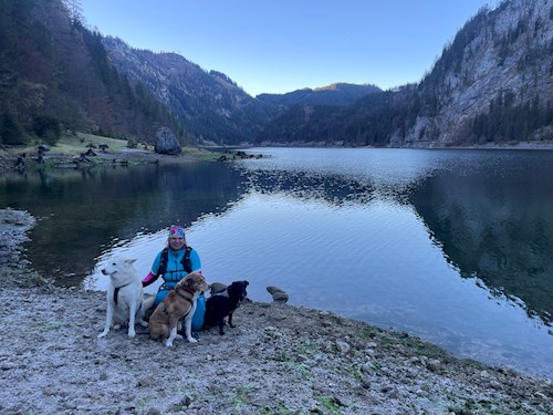 Jana- petsitter Krompach nebo Páníček pro psi kočky