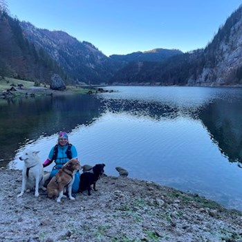 thumbnail petsitter Krompach nebo páníček pro psi kočky