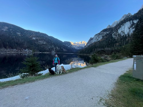 Jana- petsitter Krompach nebo Páníček pro psi kočky