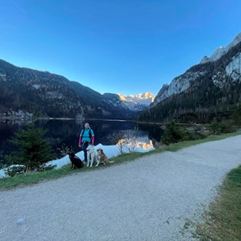 thumbnail petsitter Krompach nebo páníček pro psi kočky