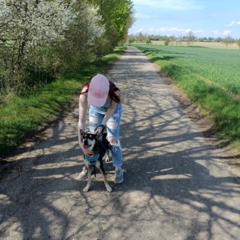 thumbnail petsitter Prague  or pet nanny for dogs cats