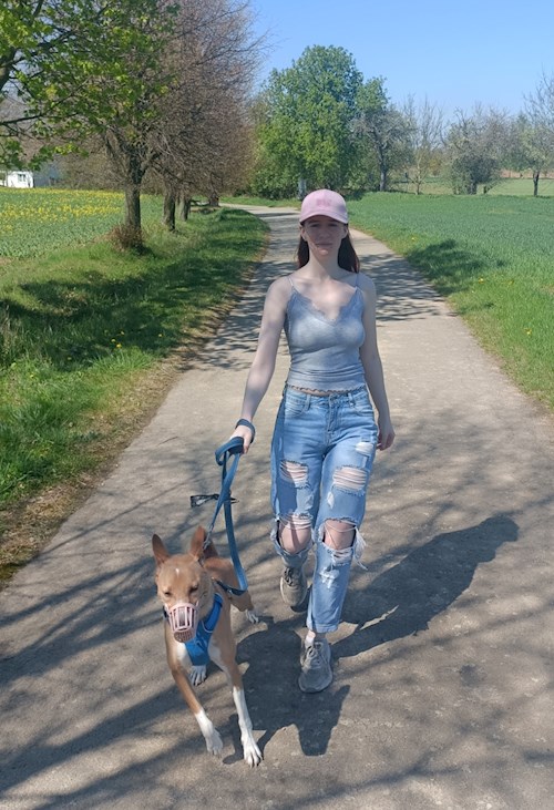 Elizabeth- petsitter Prague  or Pet nanny for dogs cats