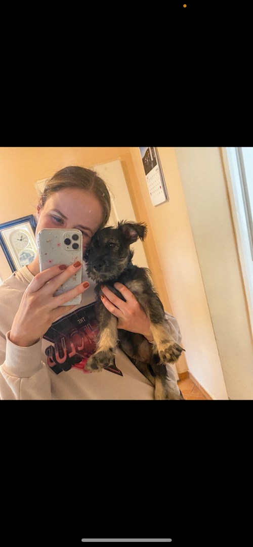 Sofia- petsitter Praha or Pet nanny for dogs cats 