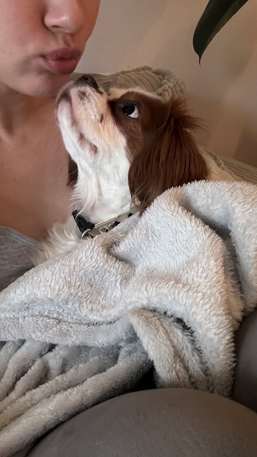Anastasiia- petsitter Praha nebo Páníček pro psi kočky