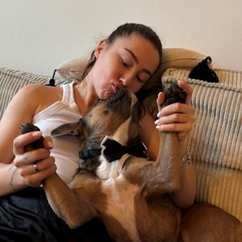 thumbnail petsitter Praha nebo páníček pro psi kočky