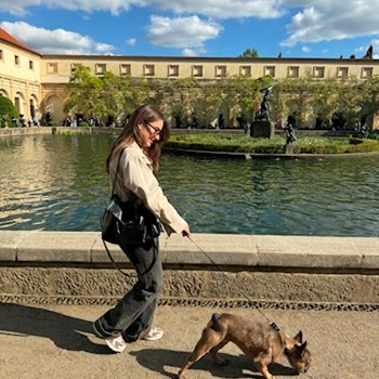 thumbnail petsitter Praha nebo páníček pro psi kočky