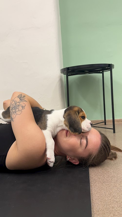 Anastasiia- petsitter Praha nebo Páníček pro psi kočky