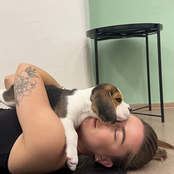 thumbnail petsitter Praha nebo páníček pro psi kočky