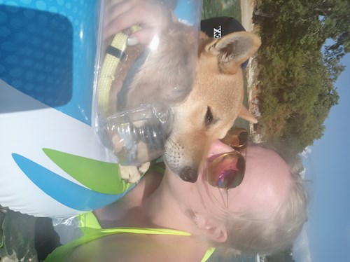 Veronika- petsitter Plzeň or Pet nanny for dogs cats