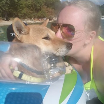 thumbnail petsitter Plzeň or pet nanny for dogs cats