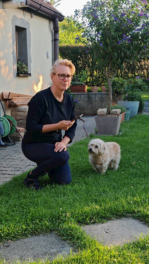 Tomáš- petsitter Křečhoř nebo Páníček pro psi