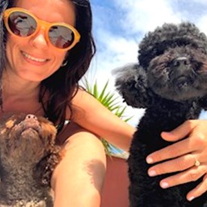 petsitter Prague 7 nebo Páníček pro Psi Kočky