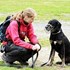 N/A + stapan de animal de companie care a apelat la un pet sitter in loc de pensiune canina sau pet hotel