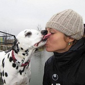petsitter Praha 9 or Pet nanny for Dogs 