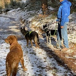 Yosif - pet sitter kočky psi Liberec