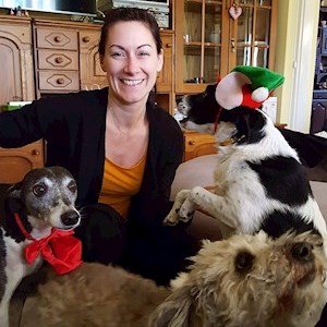petsitter Praha or Pet nanny for Dogs Cats 