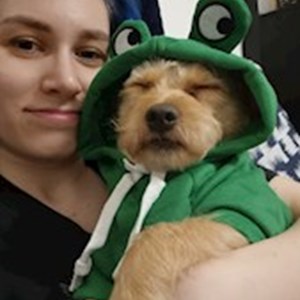 petsitter Praha 7 or Pet nanny for Dogs Cats