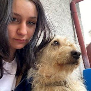petsitter Stochov or Pet nanny for Dogs Cats 