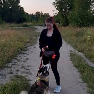 petsitter Prague  or Pet nanny for Dogs Cats