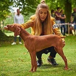 Tereza - pet sitter cats dogs Karlovy Vary