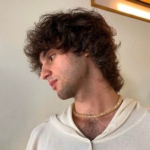 petsitter Praha nebo Páníček pro Kočky