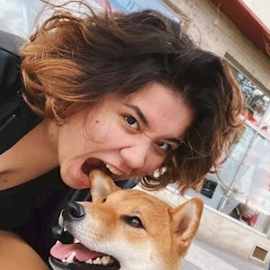 petsitter Praha nebo Páníček pro Psi Kočky