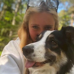 petsitter Praha nebo Páníček pro Psi Kočky