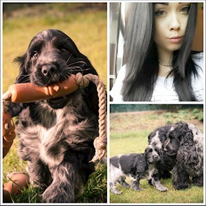 petsitter Brno or Pet nanny for Dogs Cats