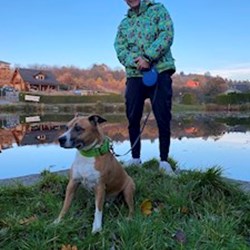 Viktor - pet sitter psi Praha