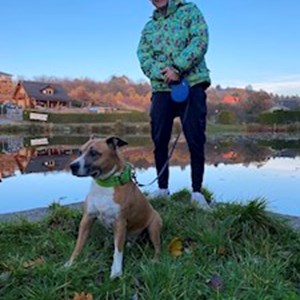 petsitter Praha nebo Páníček pro Psi