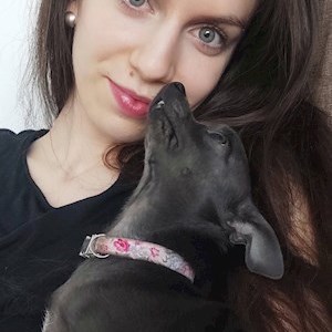 petsitter Praha nebo Páníček pro Psi