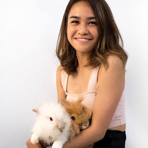 petsitter Praha nebo Páníček pro Psi Kočky