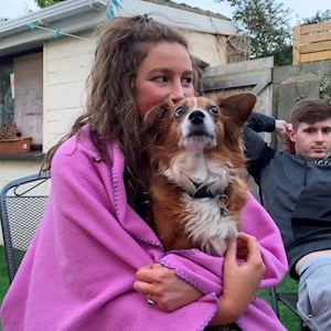 petsitter Prague or Pet nanny for Dogs Cats 