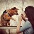 Katarína + stapan de animal de companie care a apelat la un pet sitter in loc de pensiune canina sau pet hotel