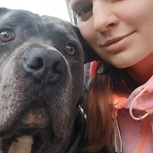 petsitter Holasice nebo Páníček pro Psi