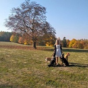 petsitter Praha  or Pet nanny for Dogs 