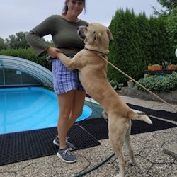 Gabriela - pet sitter cats dogs Praha 6