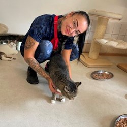 Bella - pet sitter kočky psi Česká Třebová