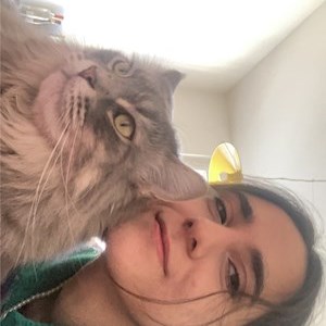 petsitter Praha or Pet nanny for Dogs Cats 